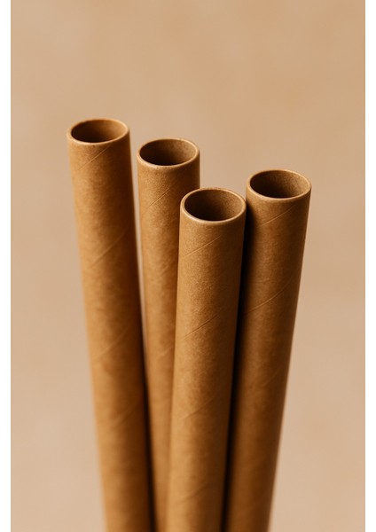 Kahverengi Pipet - Kahverengi Karton Pipet - Karton Pipet - Kağıt Pipet - Kahverengi Kağıt Pipet - 25 Adet fiyatları
