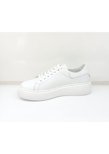 Bayan Günlük Aya fiyatları