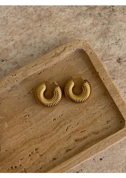 Gold Midye Halka Çelik Küpe fiyatları