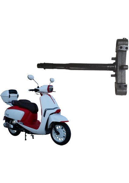 x Macchiato 50 / 125 Ön Platin ( Çatal- Ön Maşa )