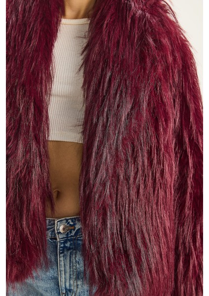 Kadın Şal Yaka Astarlı Premium Kürt Ceket indirimleri