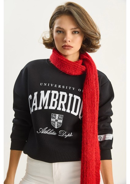 Kadın Bisiklet Yaka Baskılı Üç Iplik Şardonlu Basic Sweatshirt fiyatları