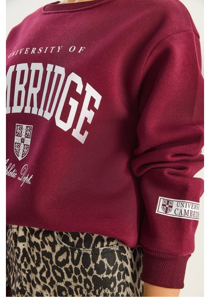 Kadın Bisiklet Yaka Baskılı Üç Iplik Şardonlu Basic Sweatshirt indirimleri