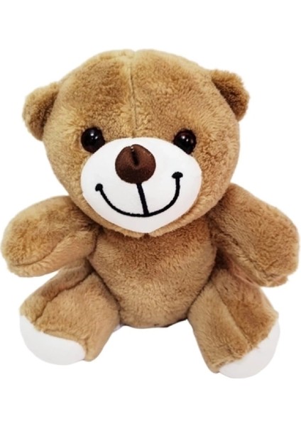 Sevimli Peluş Ayicik