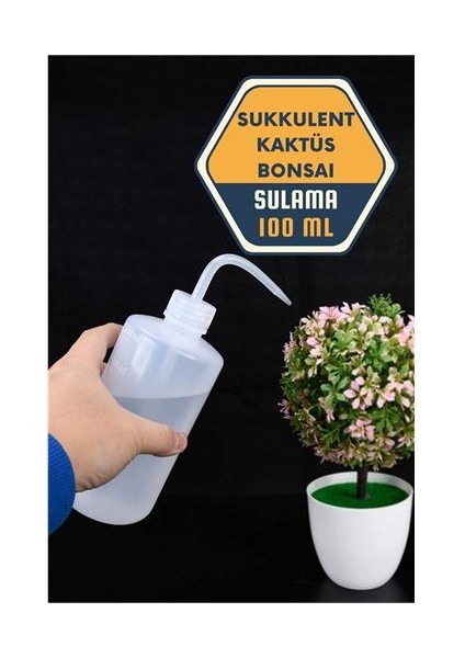 Sukkulent Kaktüs Bonsai Sulama Şişesi