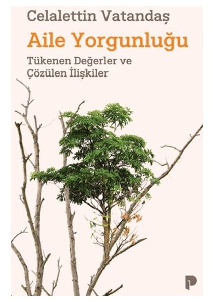 Aile Yorgunluğu