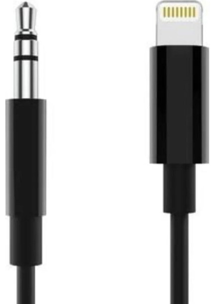 ZR500 JH-023 Lightning Aux Çevirici