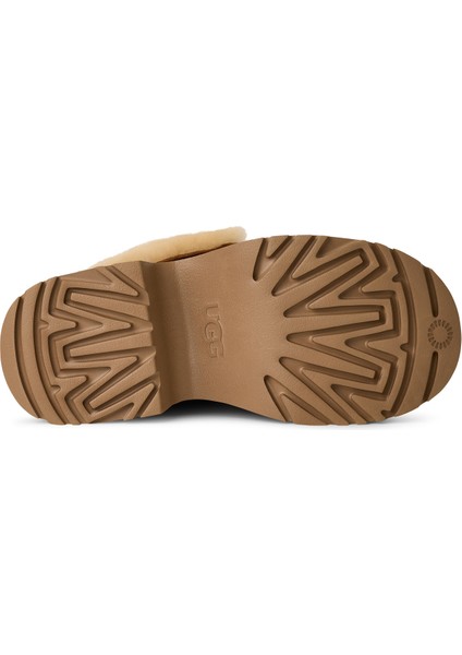 Taba Kadın Bot 1171532