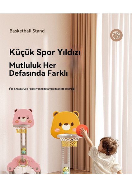 Futbol Basketbol Kaldırılabilir Çok Amaçlı Top Standı (Yurt Dışından) fiyatları