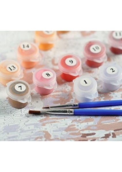 Sayılarla Boyama Seti Liman 40x50 cm Akrilik Boyalar ve Fırçalar ile Sanatınızı Yaratın