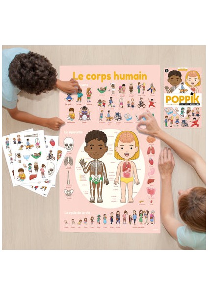 - Discovery Human Body modelleri