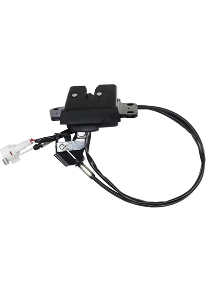 Toyota 4runner 1998-2002 Geri Kapak Kapısı Kilit Montajı 69350-35020 69350-35010 (Yurt Dışından) indirimleri