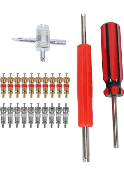 Valf Çekirdek Aracı Seti 20PCS Valf Çekirdeği, 4 Yollu Valf Aracı, Çift Tek Kafa Valf Çekirdek Çıkarma, Lastik Onarım Aracı (Yurt Dışından)