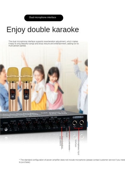 EQ-819 Car Equıther Multıcedlik Aracı Aster Eq Tarayınız Crossover Amplifikatör Parametrik Ekstresyon Araba Audio Ekolayzer (Yurt Dışından) modelleri