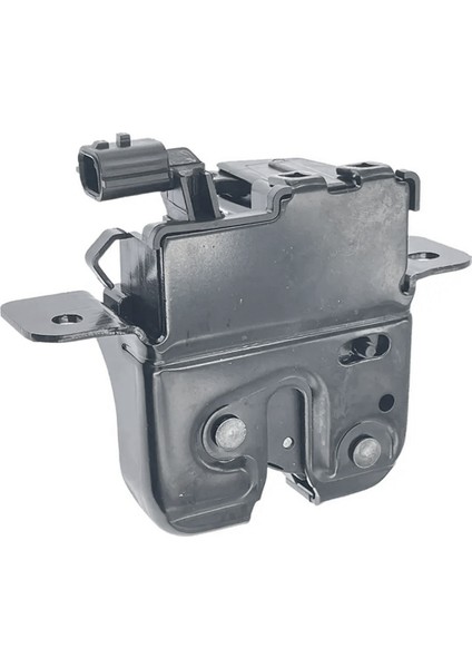 Arka Bagaj Kilidi 905039326R Renault Dacia Duster Logan Için 905037230R (Yurt Dışından) modelleri