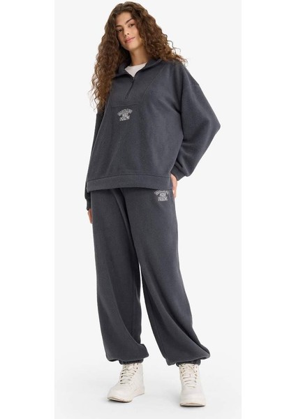 Standart Fit Beli Bağcıklı Lastikli Paça Cepli Baskılı Uzun Boy Polar Eşofman Altı fırsatları