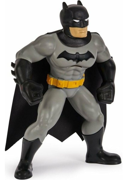 Batman Yüzme Arkadaşları - 6067008 (Lisinya) modelleri