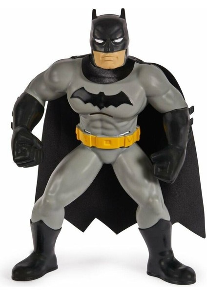 Batman Yüzme Arkadaşları - 6067008 (Lisinya) fırsatları