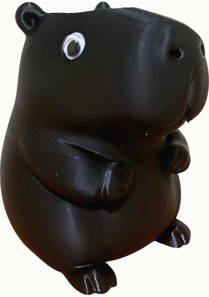 Kapibara Tasarım Kalemlik - Oynak Gözler modelleri