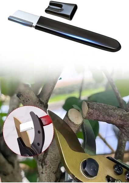 Koruyucu Kapaklı Keskin Makas Budama Makası Bıçak Bileme Aparatı Bileyici ( Lisinya )