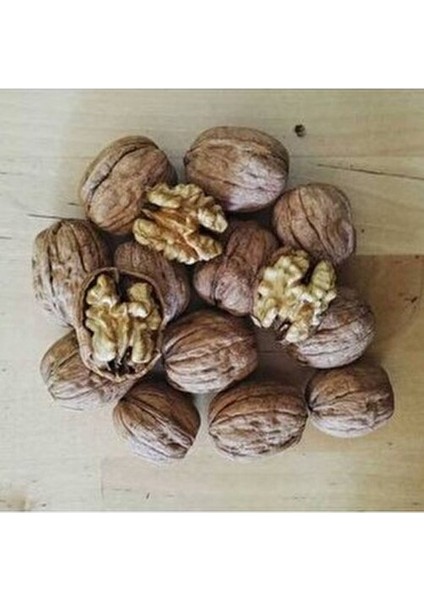 İnce Kabuklu Ceviz Yüksek Kalite 1000 gr Yerli Üretim fırsatları
