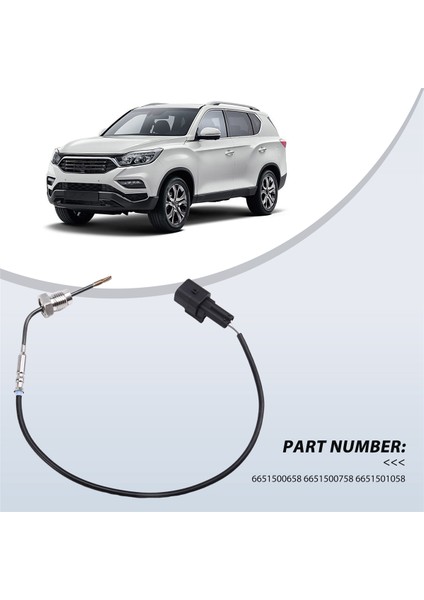 6651500658 6651500758 6651501058 Ssangyong Kyron Rexton/ıı Actyon/sports 2.7l Için Egzoz Gazı Sıcaklık Sensörü (Yurt Dışından) modelleri
