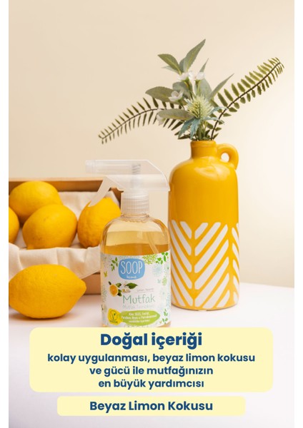 Home Mutfak Temizlik Paketi fırsatları