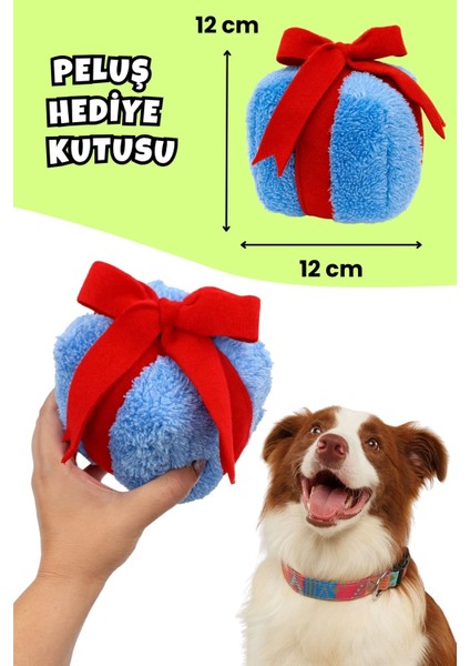 Köpek Parti Kutusu 3'lü Set | Parti Şapkası, Peluş Pasta, Peluş Hediye Kutusu