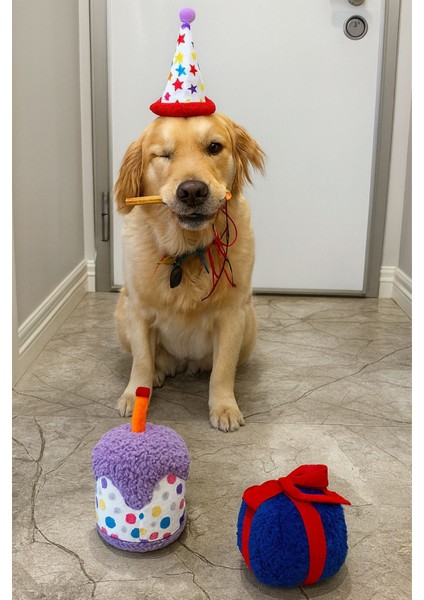 Köpek Parti Kutusu 3'lü Set | Parti Şapkası, Peluş Pasta, Peluş Hediye Kutusu