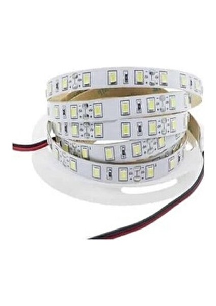 CT-4486 5 Metre İç Mekan LED Şerit 4000K Sıcaklıkta 12V Enerji Tasarruflu Aydınlatma fiyatları