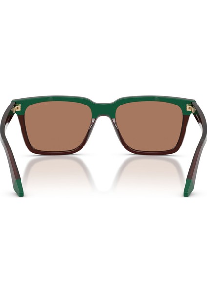 Emporıo Armanı 4260 631573 55-17 Güneş Gözlüğü modelleri