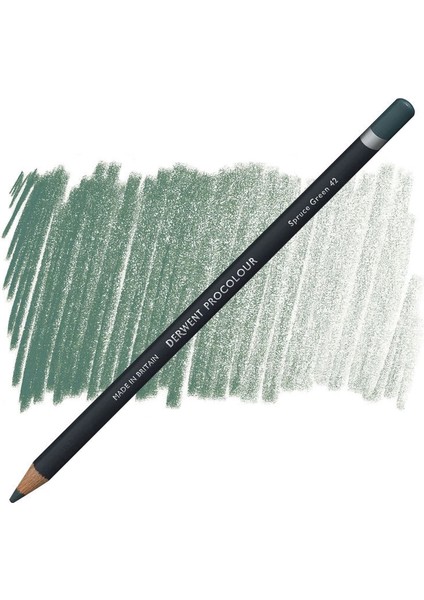 Procolour Kuru Boya Kalemi 42 Spruce Green