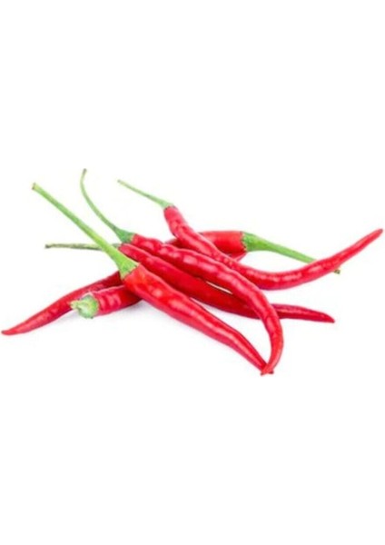 Ithal Acı Wiyang Ping Mayanmar Biberi Tohumu 5 Adet Tohum Biber Tohumu