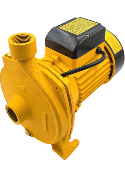 B.h.d. CPM158 750W/1HP Su Motoru/su Dinamosu modelleri