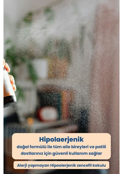 Home Oda ve Kumaş Kokusu | Ginger- Zencefil Kokulu fiyatları