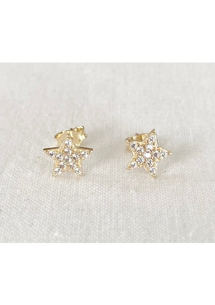 Yıldız Taşlı Altın Küpe fırsatları