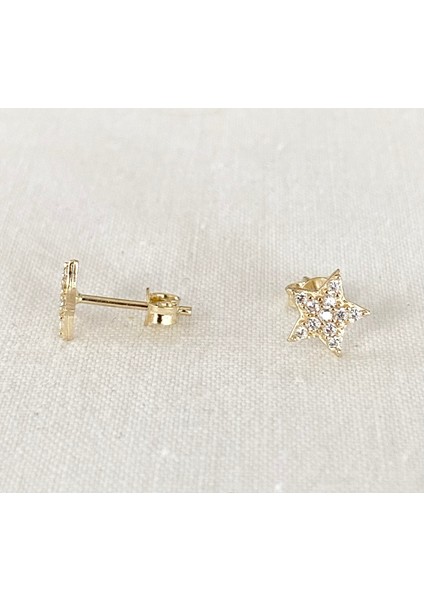 Yıldız Taşlı Altın Küpe indirimleri