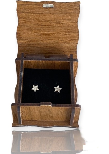 Yıldız Taşlı Altın Küpe