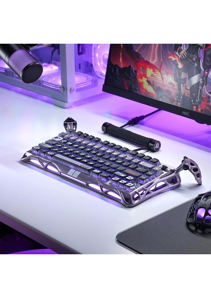 Mercury V75 Pro He Hall Effect Manyetik Switch Gaming Klavye, Hot-Swappable, Rapid Trigger, 8000Hz, 0.125MS Ultra Düşük Gecikme, Kablolu, Rgb Işıklı, Ingilizce Q, Iron Purple fırsatları