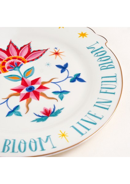 Luohu Porselen Pasta Tabağı 20 cm Renkli