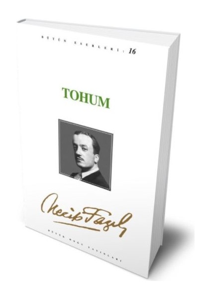 Tohum