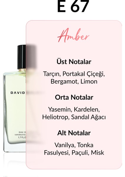 E67 Tom 50 ml Erkek Parfüm | Aromatic fiyatları