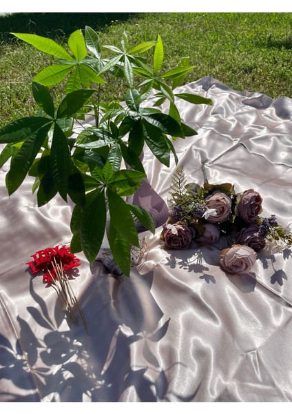 Pachira&Paçira Çiçeği Bolluk Bereket çiçeği Ofis-Salon Bitkisi