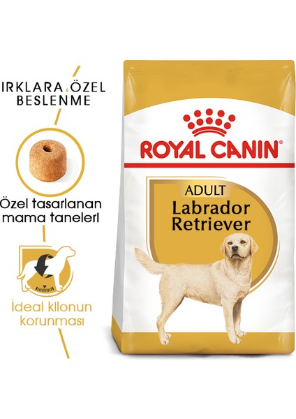 Labrador Retriever Adult Yetişkin Köpek Maması 12 Kg