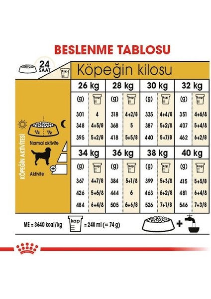 Labrador Retriever Adult Yetişkin Köpek Maması 12 Kg