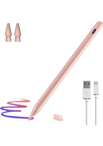 Apple iPad A16 Air 6/7/8/9/10/11/12. Nesil Avuç Içi Red Palm Rejection Tablet Kalemi Stylus Yazı Çizim 2 Uç