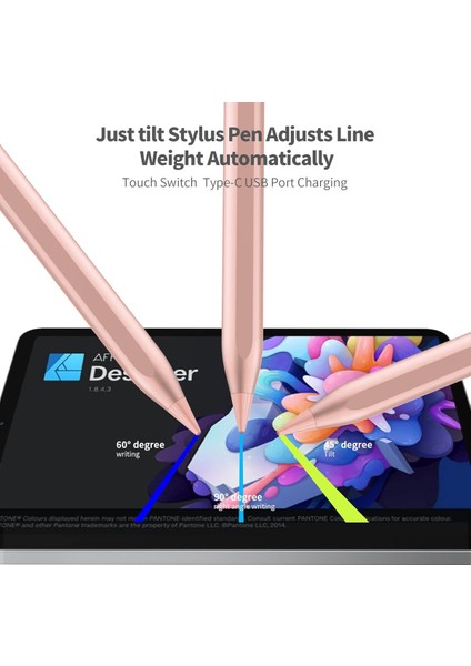 Apple iPad A16 Air 6/7/8/9/10/11/12. Nesil Avuç Içi Red Palm Rejection Tablet Kalemi Stylus Yazı Çizim 2 Uç