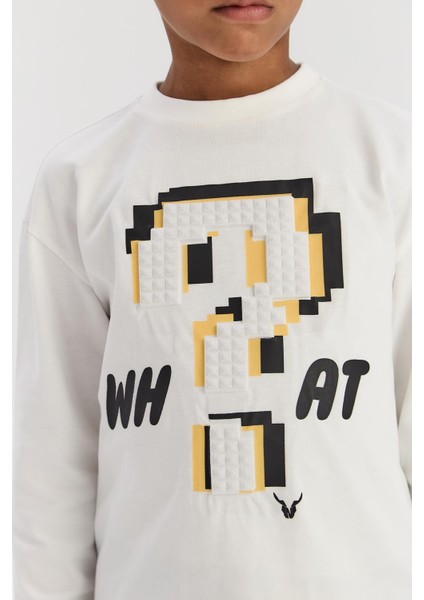 Bg Store Erkek Çocuk Ekru Tshirt modelleri