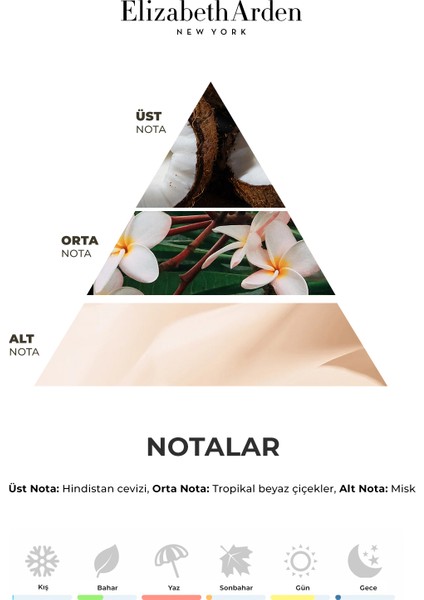 Parfüm 100 ml fırsatları