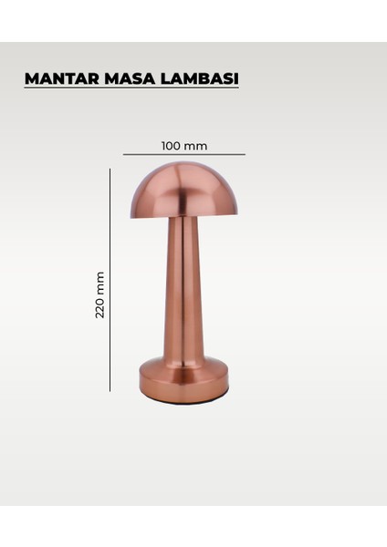 Rose Mantar Masa Lambası - Dokunmatik - 3 Renk Işık fiyatları